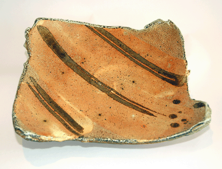Dish